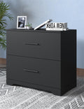 2 Drawer Lateral Filing Cabinet,Storage Filing Cabinet For Home Office, Black Black Particle Board