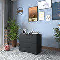 2 Drawer Lateral Filing Cabinet,Storage Filing Cabinet For Home Office, Black Black Particle Board