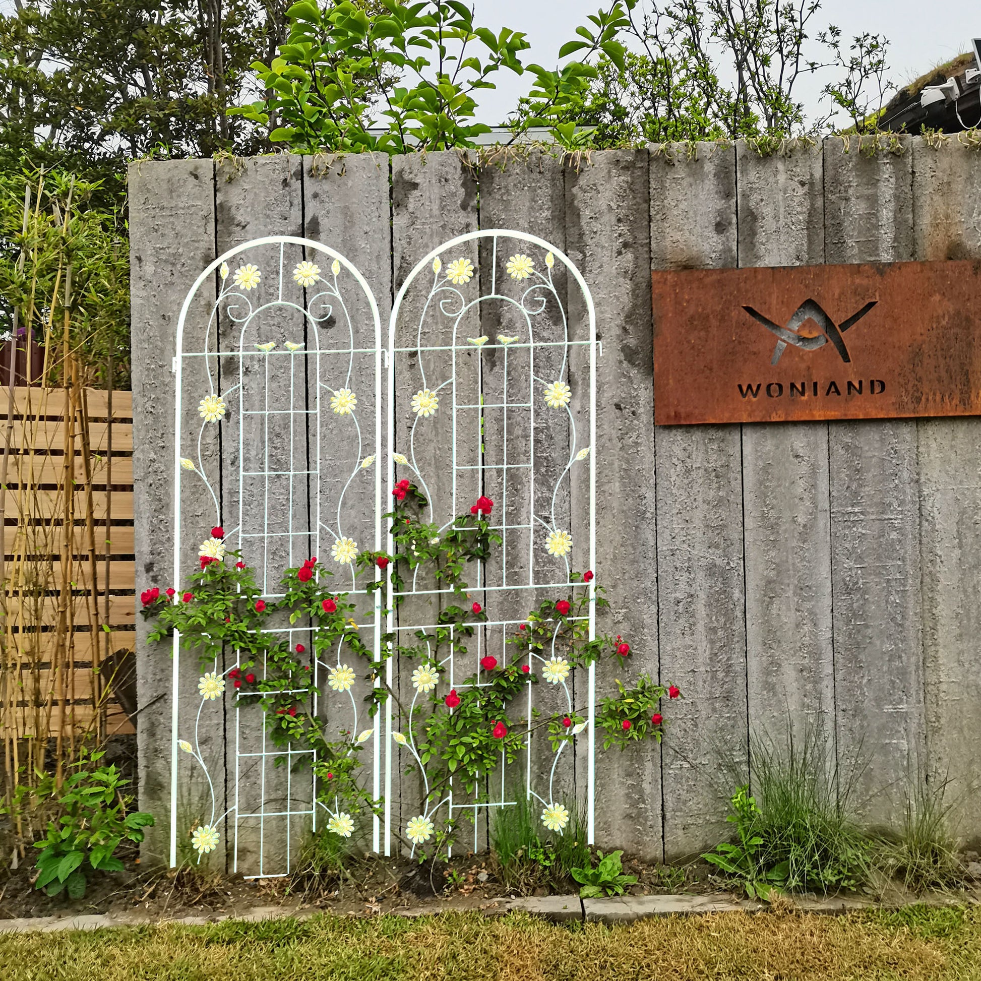 SCENDOR Garden Traliccio 149,9 cm H x 54,9 cm W Ferro Design unico traliccio in metallo Costruzione durevole Lattice Outdoor Rose Vite Edera Clematide tralicci Supporto per piante rampicanti SCENDOR Garden Traliccio 149,9 cm H x 54,9 cm W Ferro Design unico traliccio in metallo Costruzione durevole Lattice Outdoor Rose Vite Edera Clematide tralicci Supporto per piante rampicanti