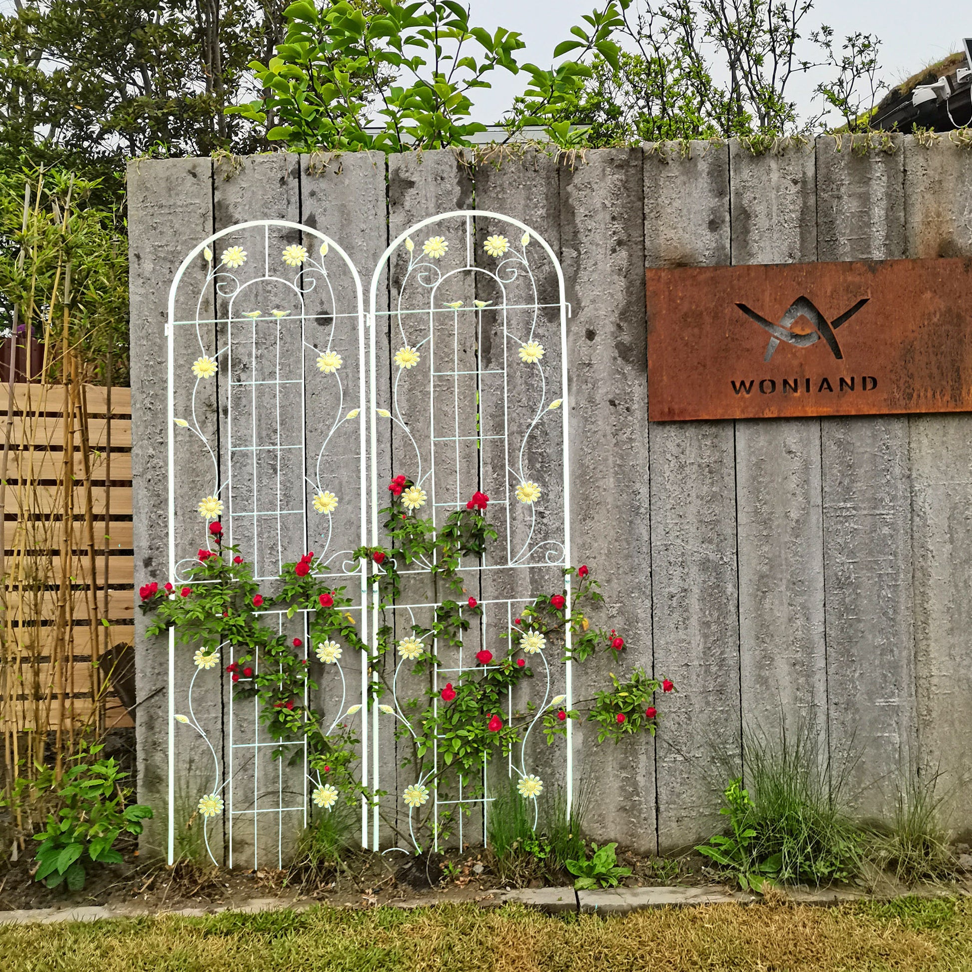 metal wall trellis for climbing plants 4 Pack Metal Garden Trellis 86.7" X 19.7" Rustproof Trellis For Climbing Plants Outdoor Flower Support Cream White Cream White Garden & Outdoor Iron