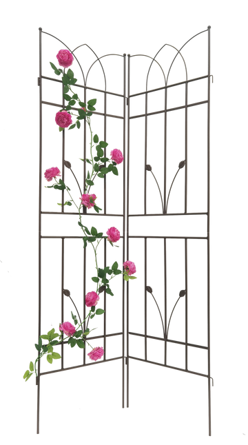 2 Pack Metal Garden Trellis 71" X 17.7" Rustproof Trellis For Climbing Plants Outdoor Flower Support Brown Brown Iron