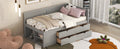 Twin Size Daybed With Drawers And Shelves, Gray Gray Solid Wood