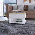 Portland Lift Top Coffee Table Multicolor Mdf Engineered Wood