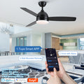 Smart 48 In. Integrated Led Balck Ceiling Fan With Remote Contorl And Plywood Blades Black Plywood