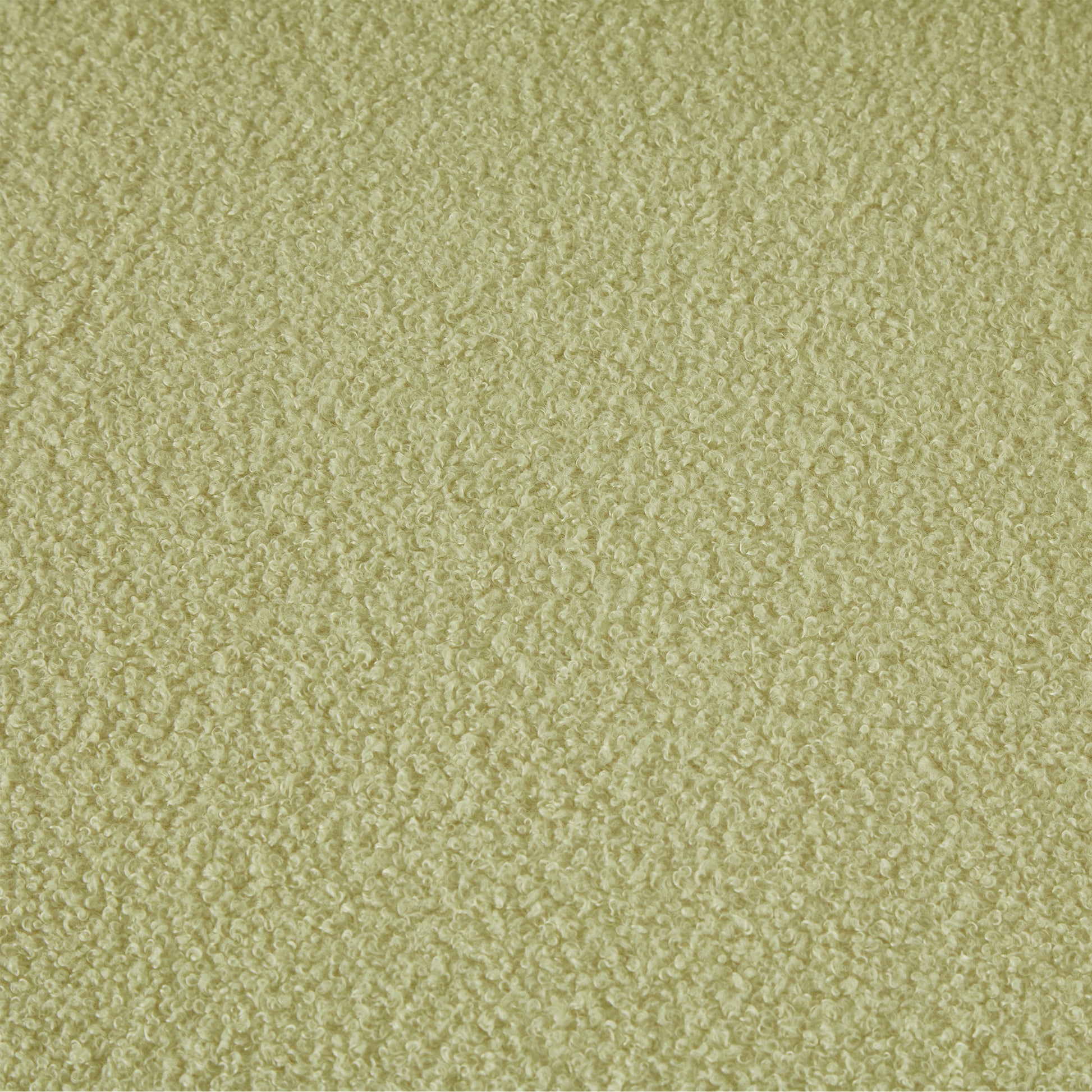 Living Room Furniture Lazy Sofa Chair Teddy Fabric Light Green Light Green Foam Teddy