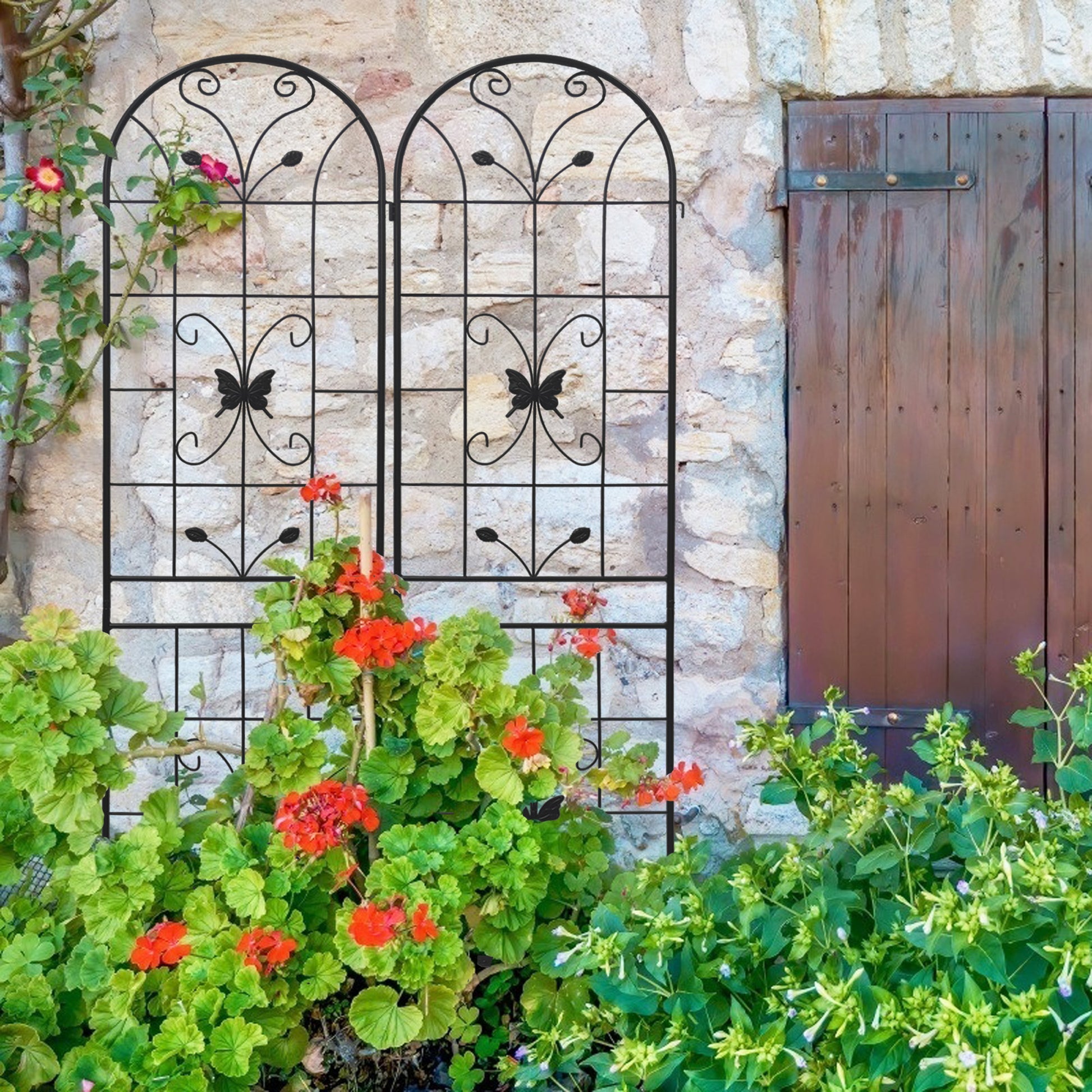 black plant trellis 2 Pack Metal Garden Trellis 86.7" X 19.7" Rustproof Trellis For Climbi