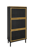 3 Metal Door Shoe Rack, Freestanding Modern Shoe Storage Cabinet, Metal Rattan, For Entryway Black Particle Board