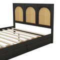 Queen Size Wood Storage Platform Bed With 2 Drawers, Rattan Headboard And Footboard, Black Box Spring Not Required Queen Black Wood Bedroom Bed Frame Wood Rattan