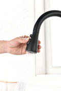 Single Handle Kitchen Sink Faucet With Pull Out