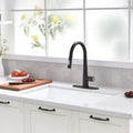 Pull Out Kitchen Faucet Black Kitchen Faucet Single Handle Kitchen Faucet Black Kitchen Contemporary Ceramic Brass