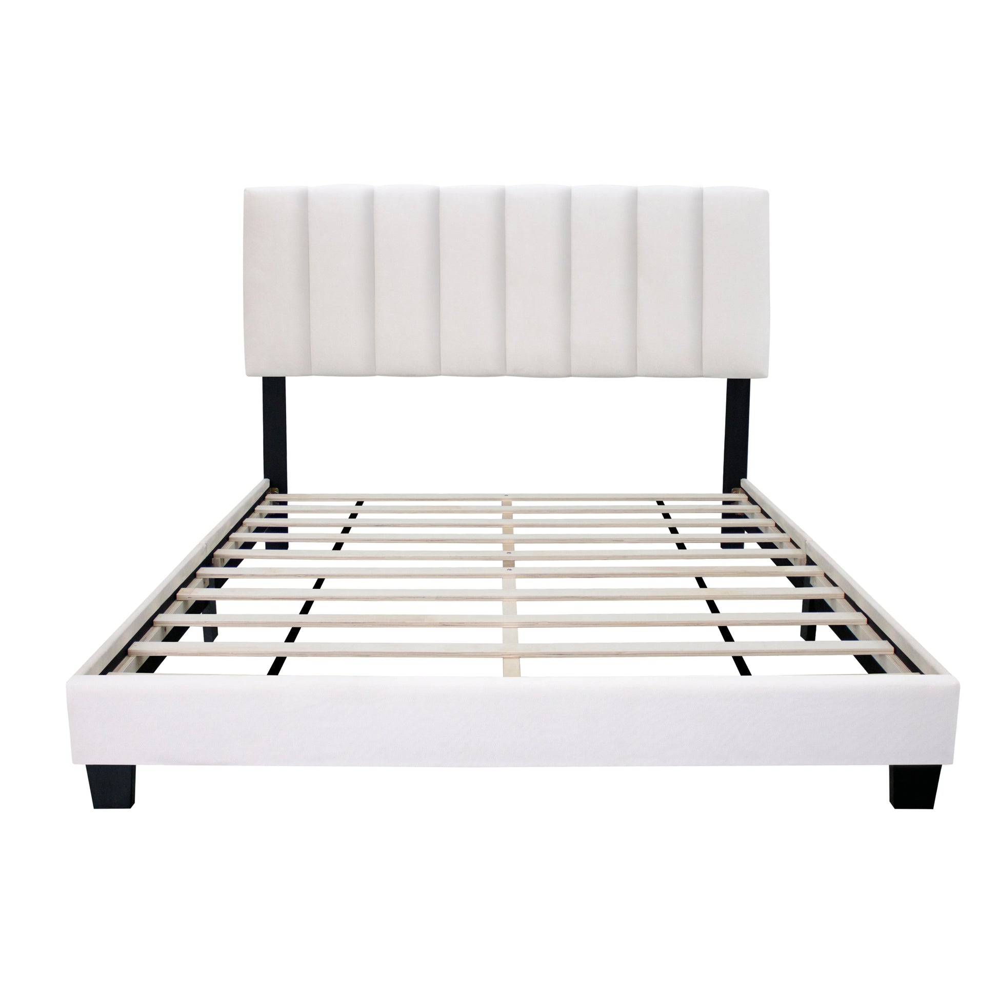 White Queen Size Upholstered Bed Frame With Adjustable Headboard, Chenille Fabric, Clean White Style Modern Popular Style Suitable For Any Room Designs Box Spring Not Required Queen White Wood Espresso Bedroom American Design,British,Contemporary,Modern