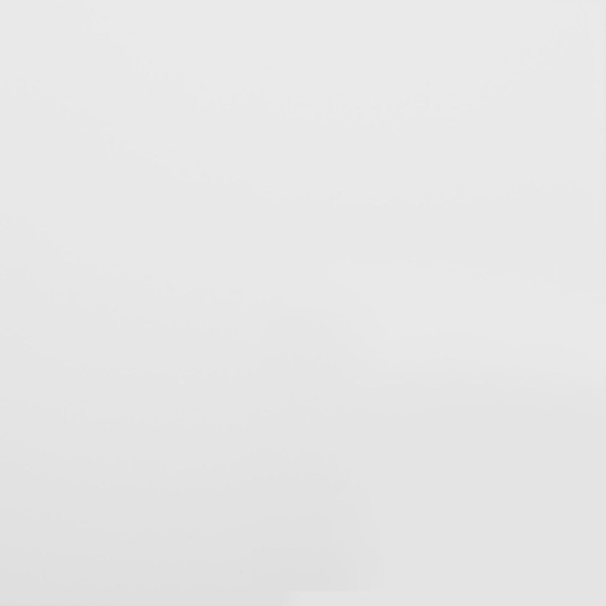 Betony White Twin Canopy Bed Twin White Metal Bedroom Traditional Canopy Metal