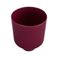 Pst02 Shenhong Wine Red Plastic