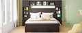 Queen Size Wooden Bed With All In One Cabinet, Shelf And Sockets,Twin Xl Trundle,Espresso Queen Espresso Solid Wood