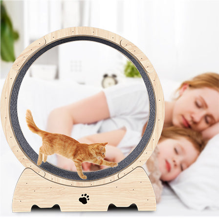 Cat Exercise Wheel For Indoor Cats, Cat Running Wheel With Carpeted Runway, Cat Sport Treadmill Wheel For Kitty'S Longer Life, Fitness Weight Loss Device, 37" Natural Wood Color Natural Wood Wood