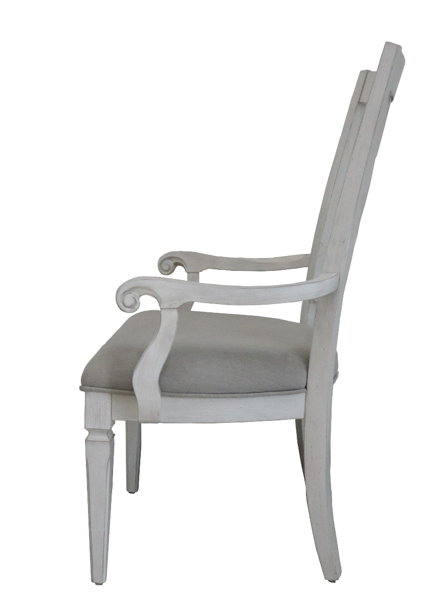 Katia Arm Chair Set 2 , Light Gray Linen & Weathered White Finish Dn02488 Light Gray Wood