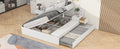 Full Size Wood Storage Hydraulic Platform Bed With Twin Size Trundle, Side Table And Lounge, White Box Spring Not Required Full White Wood Bedroom Bed Frame Solid Wood Mdf