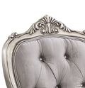 Ariadne Arm Chair Set 2 , Velvet & Antique Plantinum Finish Dn02283 Light Gray Fabric