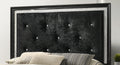 Modern Glam Style Black Finish Upholstered 1Pc Queen Size Panel Bed Diamond Patterned Faux Crystal Button Tufted Solid Wood Wooden Bedroom Furniture Black Solid Wood