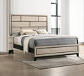 Cotemporary Chalk Drift Wood Finish Queen Size Panel Low Profile Bed Geometric Design Wooden Bedroom Furniture Cream White Wood