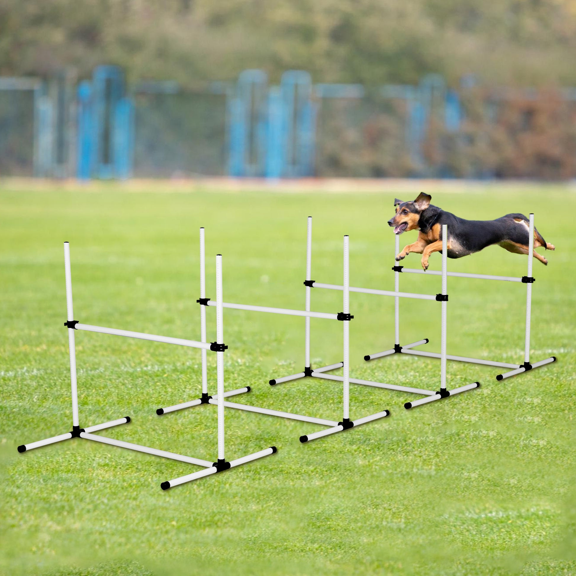 4 Pack Adjustable Dog Agility Jumps With Carry Bag Exercise Dog Jumping Hurdles For Indoor Outdoor Dog Agility Course Game, White White Plastic Indoor & Outdoor Use