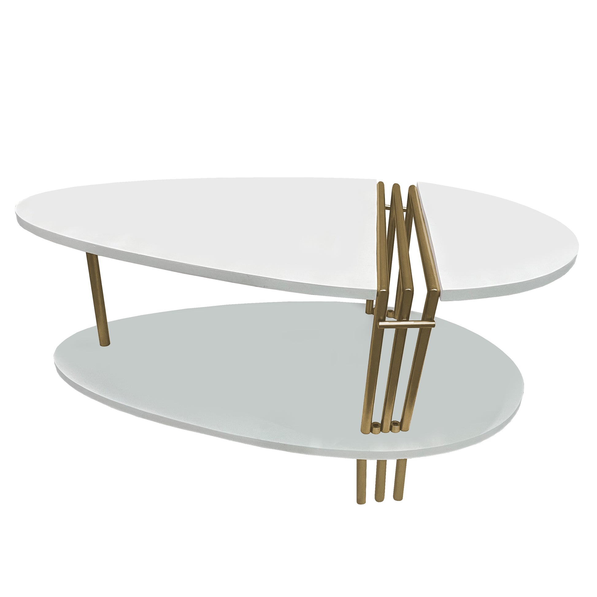 36 Inch Modern Coffee Table, Oval Elliptical Shape, White Mango Wood With Antique Brass Antique Brass White Metal & Wood