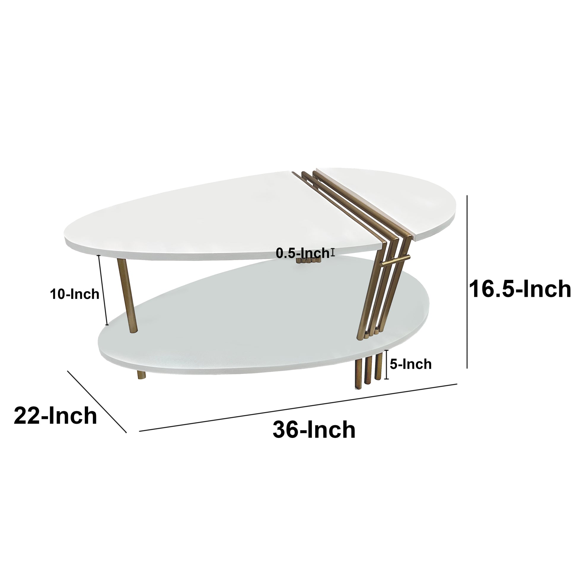 36 Inch Modern Coffee Table, Oval Elliptical Shape, White Mango Wood With Antique Brass Antique Brass White Metal & Wood