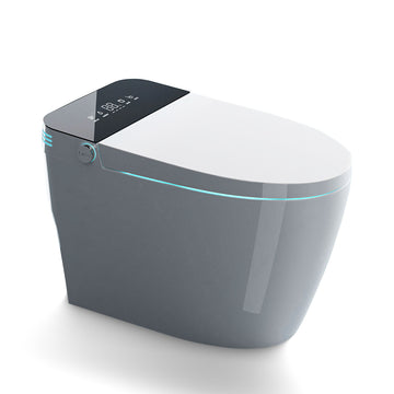 Smart Toilet with Heated Bidet Seat, toilet with