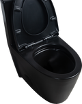 1.1 1.60 Gpf Dual Flush One Piece Toilet, Water Saving Elongated Comfort Height Floor Mounted, Soft Close Seat, 1000 Gram Map Flushing Score Toilet, Matte Black 23T01 Mb 1 Matte Black Ceramic