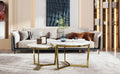 Modern Round Nesting Coffee Table Set 2 Piece White & Marbling Top Gold Base White Mdf