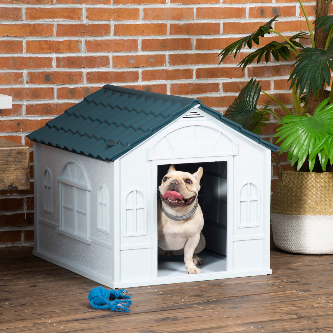 Pawhut Plastic Dog House, Water Resistant Puppy Shelter Indoor Outdoor With Door, Easy To Assemble, For Medium And Small Dogs, Blue Blue Polypropylene