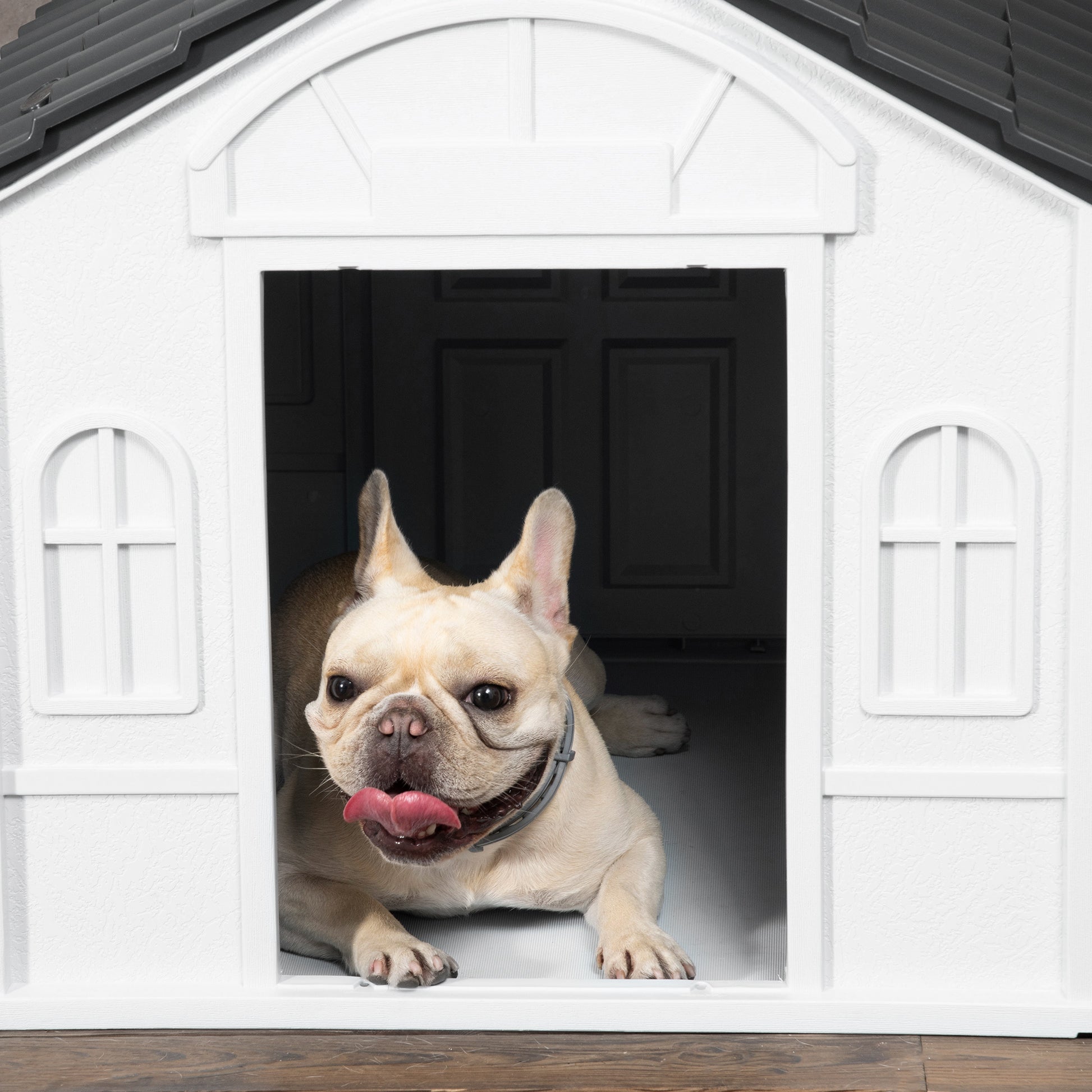 Pawhut Plastic Dog House, Water Resistant Puppy Shelter Indoor Outdoor
