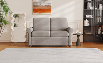 57.4" Pull Out Sofa Bed,Sleeper Sofa Bed With Premium Twin Size Mattress Pad,2 In 1 Pull Out Couch Bed With Two Usb Ports For Living Room,Small Apartment, Light Gray Old Sku:Wf296899 Light Gray Foam Velvet