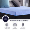 12 Inch Refresh Flex Head Latex Foam Hybrid Mattress And Adjustable Base Bundle, King Size King Blue Foam Foam Spring