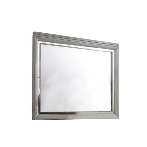Contemporary Style Rectangular Wooden Mirror with
