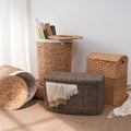 Joseph Rectangular Curve Resin Woven Wicker Trunk With Handles 24