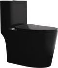 Matte Black One Piece Dual Flush Elongated Toilet Matte Black Ceramic