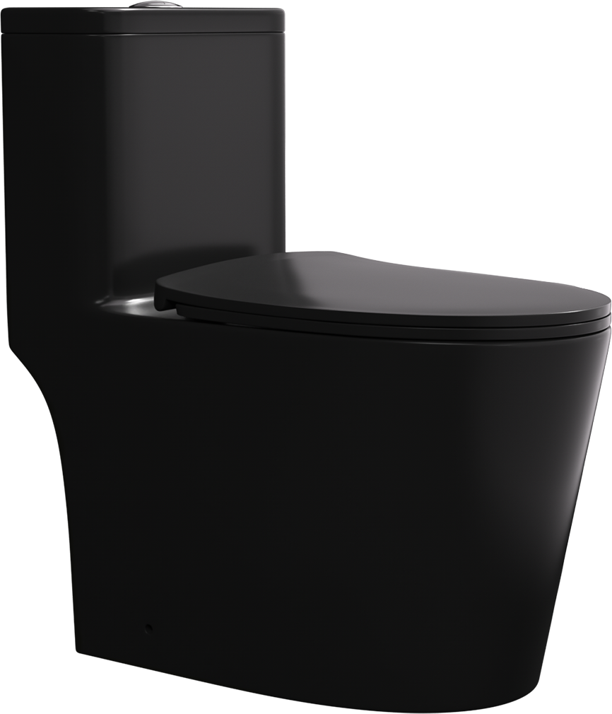 Matte Black One Piece Dual Flush Elongated Toilet Matte Black Ceramic