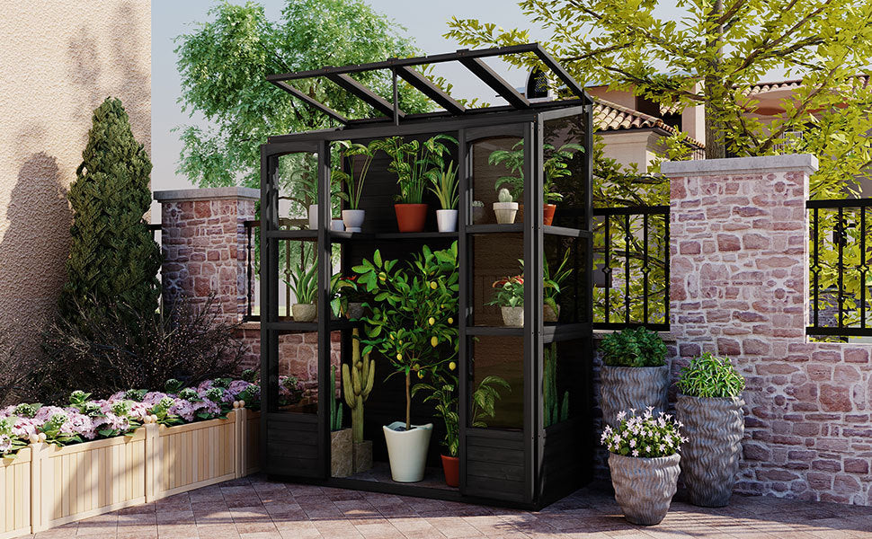 78 Inch Wooden Greenhouse Cold Frame With 4 Independent Skylights And 2 Folding Middle Shelves, Walk In Outdoor Greenhouse, Black Black Seats 2 Garden & Outdoor Casual Wood