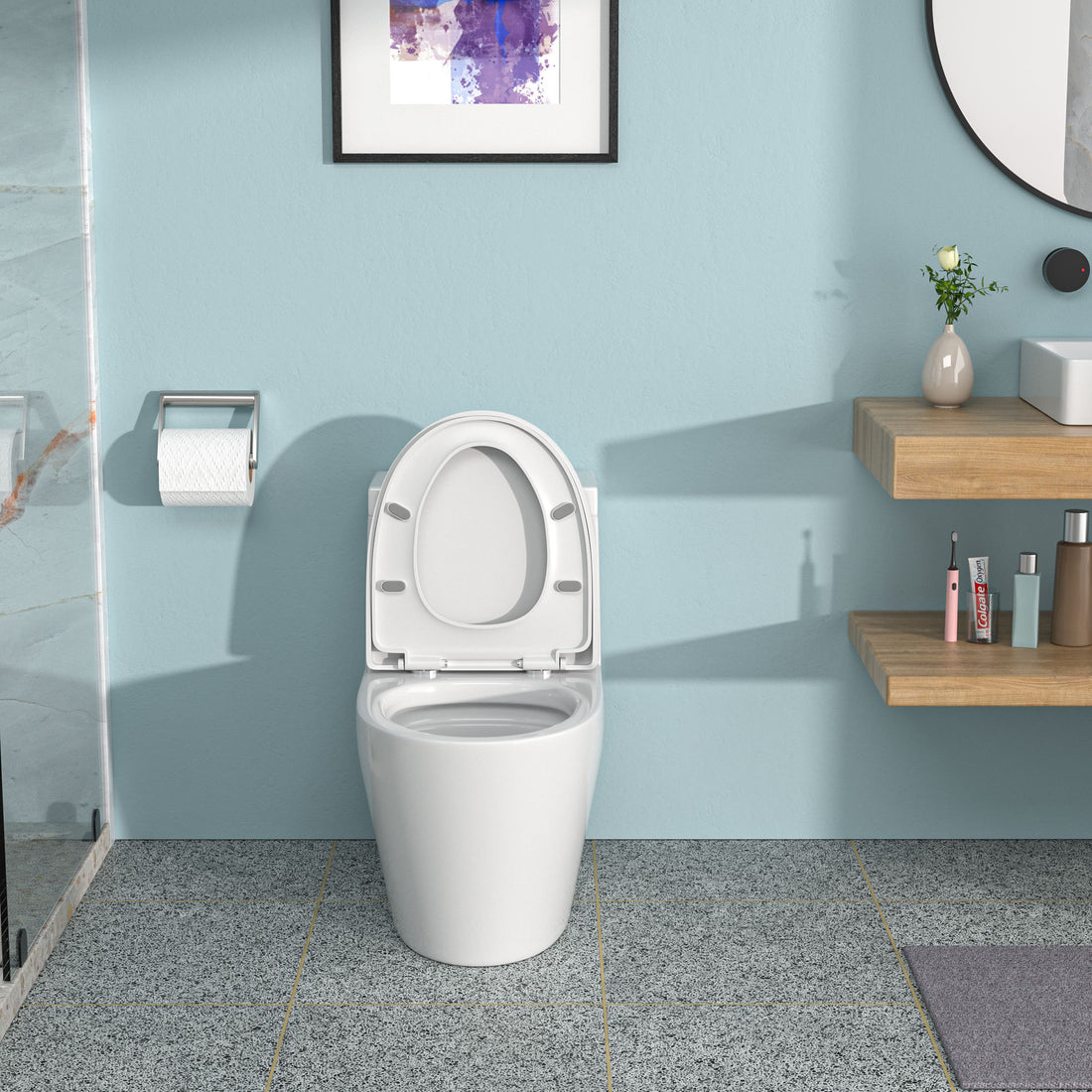 Ceramic One Piece Toilet,Dual Flush With Soft
