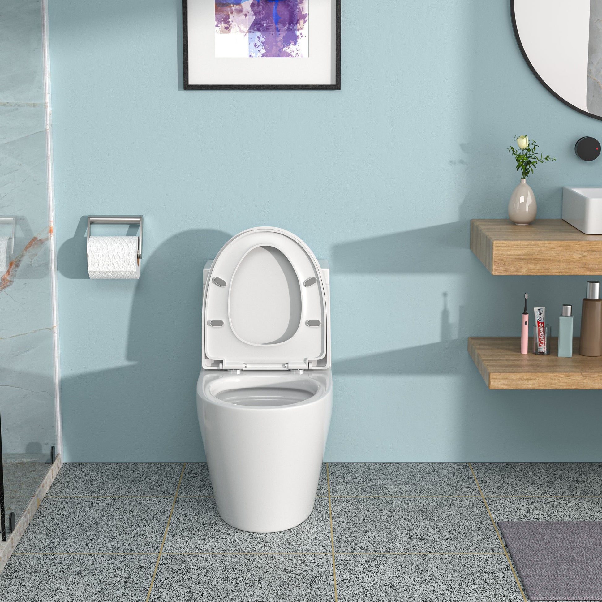 Ceramic One Piece Toilet,Dual Flush With Soft Clsoing Seat White Ceramic