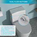 Ceramic One Piece Toilet,Single Flush With Soft Clsoing Seat White Ceramic