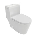 Ceramic One Piece Toilet,Dual Flush With Soft Clsoing Seat White Ceramic