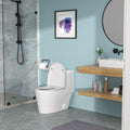 Ceramic One Piece Toilet,Dual Flush With Soft