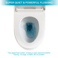 Ceramic One Piece Toilet,Dual Flush With Soft