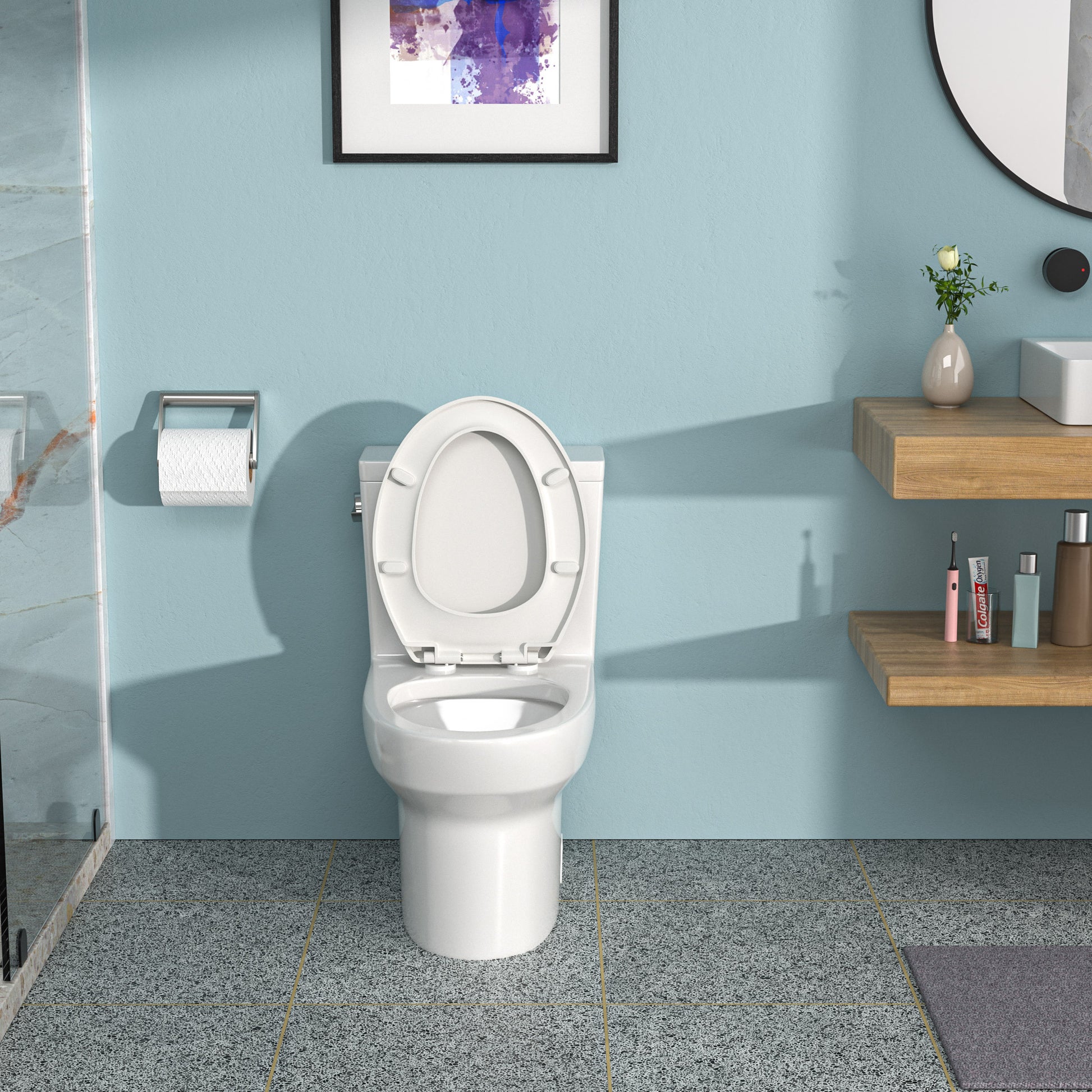 Ceramic One Piece Toilet,Single Flush With Soft Clsoing Seat White Ceramic