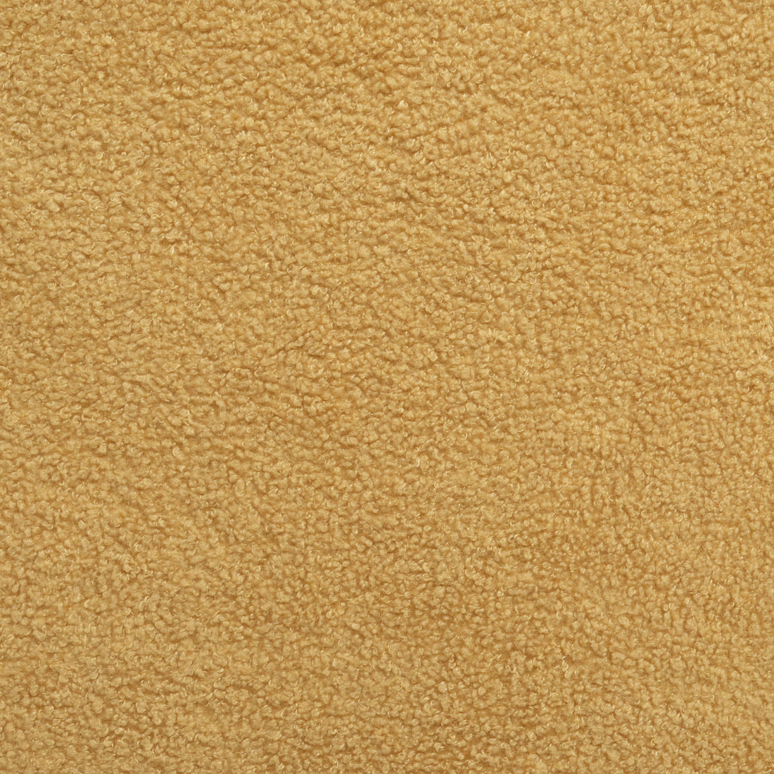 Cortina Fabric Club Chair Mustard Yellow Primary Living Space Casual,Contemporary,Cute Birch Fabric