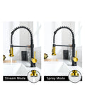Commercial Black And Nickel Gold Kitchen Faucet