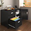 Metal Office Cabinet With 2 Drawers & Adjustable Shelves, Mobile Lateral Filing Cabinet With Lock Black Metal