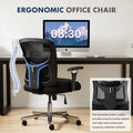 Desk Chair, Waist Support, 500 Lb Heavy Duty Mesh Ergonomic Computer Chair Black Steel